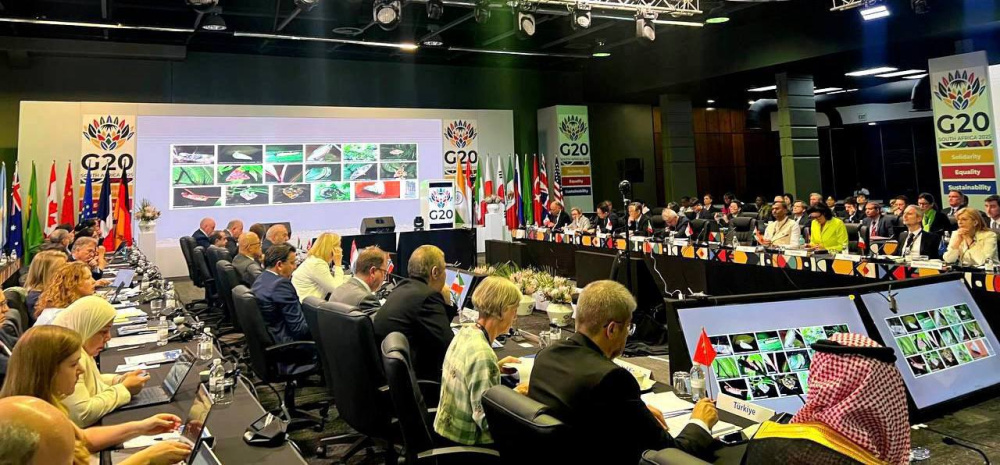 Der „Sotschi-Dialog“ wurde auf dem G20-Treffen in Südafrika vorgestellt